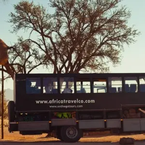 Explore Cape Town To Nairobi 43 Days Overlanding for 43 days with Africa Travel Co. and discover unforgettable experiences - Photo 5