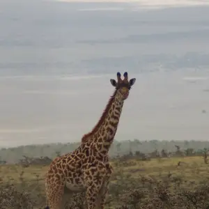 Explore Victoria Falls To Nairobi 22 Days Overlanding for 22 days with Africa Travel Co. and discover unforgettable experiences - Photo 6