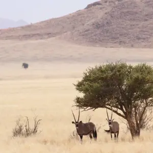 Explore Nairobi to Cape Town 43 Days Overlanding for 43 days with Africa Travel Co. and discover unforgettable experiences - Photo 5