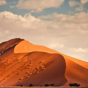 Explore Cape Town to Victoria Falls 22 Days Overlanding for 22 days with Africa Travel Co. and discover unforgettable experiences - Photo 9