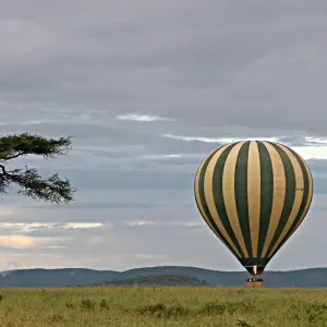 Explore 5 DAYS SERENGETI HOT AIR BALLOON SAFARI for 5 days with Africa Outland Safaris and discover unforgettable experiences - Photo 10