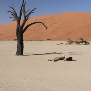 Explore Victoria Falls to Cape Town 22 Days Overlanding for 22 days with Africa Travel Co. and discover unforgettable experiences - Photo 9