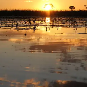 Explore Cape Town to Victoria Falls 22 Days Overlanding for 22 days with Africa Travel Co. and discover unforgettable experiences - Photo 5