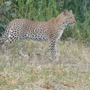 Explore Victoria Falls To Nairobi 22 Days Overlanding for 22 days with Africa Travel Co. and discover unforgettable experiences - Photo 9