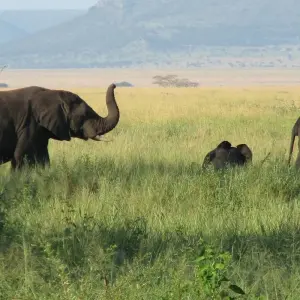 Explore Nairobi to Cape Town 43 Days Overlanding for 43 days with Africa Travel Co. and discover unforgettable experiences - Photo 8