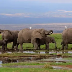 Explore 7 Days Big five Watch safari for 7 days with African Breeze Safaris and discover unforgettable experiences - Photo 3