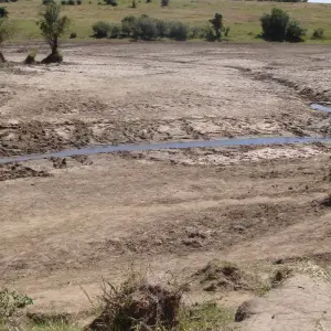 Explore Nairobi To Cape Town 57 Days Overlanding for 57 days with Africa Travel Co. and discover unforgettable experiences - Photo 11