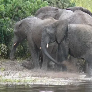 Explore Victoria Falls To Nairobi 22 Days Overlanding for 22 days with Africa Travel Co. and discover unforgettable experiences - Photo 10