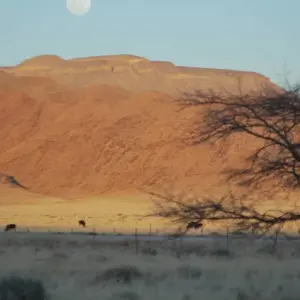 Explore Cape Town to Victoria Falls 22 Days Overlanding for 22 days with Africa Travel Co. and discover unforgettable experiences - Photo 6