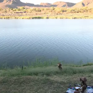 Explore Cape Town To Nairobi 43 Days Overlanding for 43 days with Africa Travel Co. and discover unforgettable experiences - Photo 10