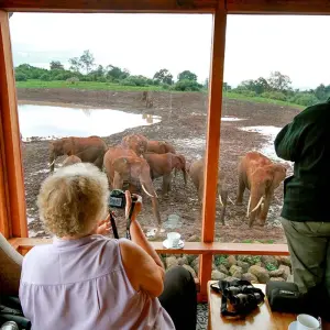 Explore 4 Days Whispers of the Wild | Scenic Splendor ( Aberdare National park) for 4 days with African Breeze Safaris and discover unforgettable experiences - Photo 4