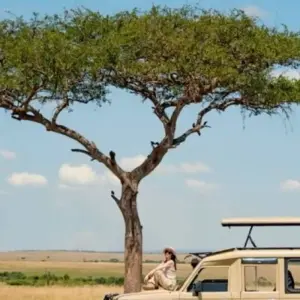 Explore 5 -Day Amboseli- Tsavo West - East -Mombasa drop off for 5 days with African Breeze Safaris and discover unforgettable experiences - Photo 4