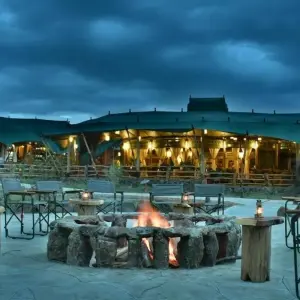 Explore 3 Days fly-in Masai Mara Safari for 3 days with African Breeze Safaris and discover unforgettable experiences - Photo 3