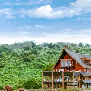 Explore 4 Days Whispers of the Wild | Scenic Splendor ( Aberdare National park) for 4 days with African Breeze Safaris and discover unforgettable experiences - Photo 5