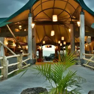 Explore 3 Days fly-in Masai Mara Safari for 3 days with African Breeze Safaris and discover unforgettable experiences - Photo 4