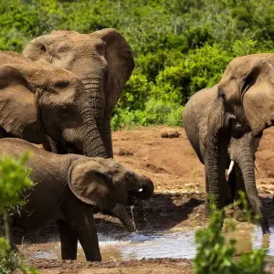 Explore 12 Days Best of Kenya and Tanzania for 12 days with Africa Venture Safaris and discover unforgettable experiences - Photo 3