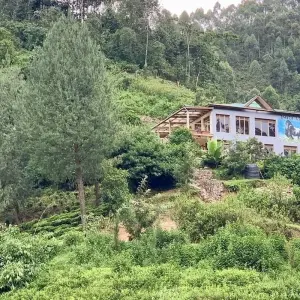 Explore 9 Days Best of Kenya and Uganda Gorilla Safari for 9 days with Africa Venture Safaris and discover unforgettable experiences - Photo 3