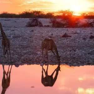 Explore 12 Days Best of Kenya and Tanzania for 12 days with Africa Venture Safaris and discover unforgettable experiences - Photo 6