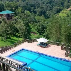 Explore 9 Days Best of Kenya and Uganda Gorilla Safari for 9 days with Africa Venture Safaris and discover unforgettable experiences - Photo 4