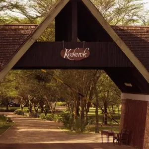 4 Days Masai Mara Flying Safari - Keekorok Lodge - 4 days with Africa Venture Safaris - Photo 5 Explore 4 Days Masai Mara Flying Safari - Keekorok Lodge for 4 days with Africa Venture Safaris and discover unforgettable experiences - Photo 5