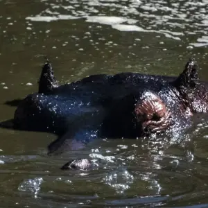 Explore 12 Days Across the Kenya Wilderness Safari for 14 days with Africa Venture Safaris and discover unforgettable experiences - Photo 8