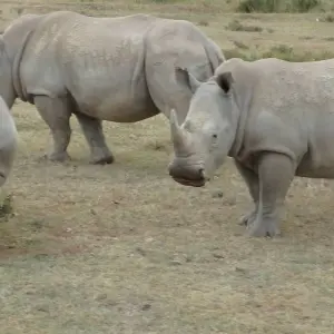 Explore Kenya and Tanzania in 8 Days - 8 days with Africa Venture Safaris - Photo 8 Explore Explore Kenya and Tanzania in 8 Days for 8 days with Africa Venture Safaris and discover unforgettable experiences - Photo 8