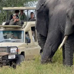 Explore Discover Tarangire National Park in 1-day for 1 days with Africa Natural Tours and discover unforgettable experiences - Photo 7