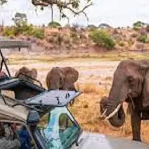 Explore The Perfect Itinerary First Time 2 Days in Tanzania - Tarangire and Ngorongoro crater with Reasonable Price. for 2 days with Africa Natural Tours and discover unforgettable experiences - Photo 7
