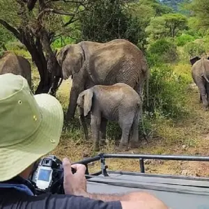 Explore Discover Africa: 5-Day Tour Starting from Arusha for 5 days with Africa Natural Tours and discover unforgettable experiences - Photo 2