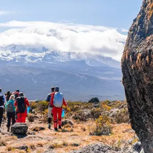 Explore Experience the Ultimate African 12-Day Safari: Mt. Kilimanjaro Hiking and Zanzibar Beach Tour. for 12 days with Africa Natural Tours and discover unforgettable experiences - Photo 2