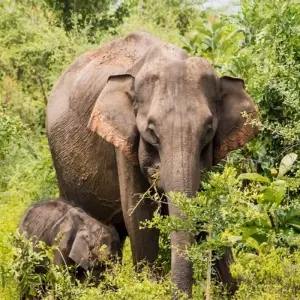 Explore Best 4-day Serengeti Migration Game Adventure at Affordable Prices. for 4 days with Africa Natural Tours and discover unforgettable experiences - Photo 2