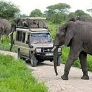 Explore Experience Real Magical 5 days Western Corridor Serengeti migration safari with reasonable Price. for 5 days with Africa Natural Tours and discover unforgettable experiences - Photo 2