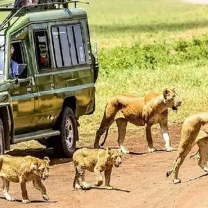 Explore The Best 9 Days African Safari Experience with Reasonable Price. for 9 days with Africa Natural Tours and discover unforgettable experiences - Photo 7