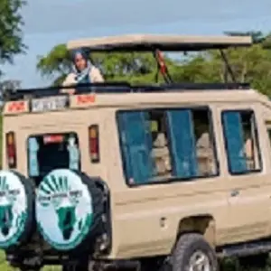 Explore Best 2 Days Tanzania Safari from Zanzibar with Reasonable Price. for 2 days with Africa Natural Tours and discover unforgettable experiences - Photo 5