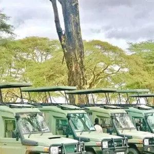 Explore Discover Our Top Best 4-day Tanzania joining group safari: The world's Famous Tanzania Group Safari for 4 days with Africa Natural Tours and discover unforgettable experiences - Photo 3