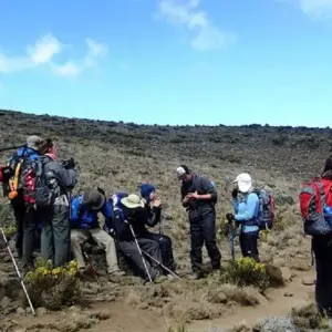 Explore Experience our 7-Day Kilimanjaro climbing Group Joining Tour via Lemosho Route for 7 days with Africa Natural Tours and discover unforgettable experiences - Photo 3
