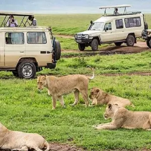 Explore Discover The Best Of The Best  5-Day Tanzania  Budget Safari 2025-2026 From Arusha for 5 days with Africa Natural Tours and discover unforgettable experiences - Photo 6