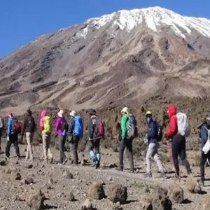 Explore Experience our 7-Day Kilimanjaro climbing Group Joining Tour via Lemosho Route for 7 days with Africa Natural Tours and discover unforgettable experiences - Photo 7