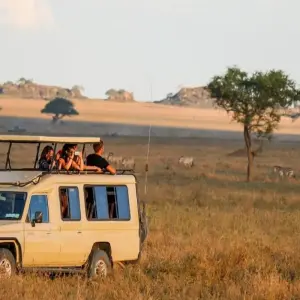 Explore Tanzania Luxury Tour in 8-Day: World-Class Experience Starting from Arusha for 8 days with Africa Natural Tours and discover unforgettable experiences - Photo 6