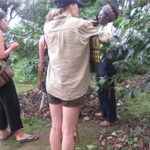 Explore Day trip tour to Materuni Waterfalls coffee tour: it takes 45 minutes to visit the most beautiful place through the valleys of Materuni Falls for 1 days with Africa Natural Tours and discover unforgettable experiences - Photo 4