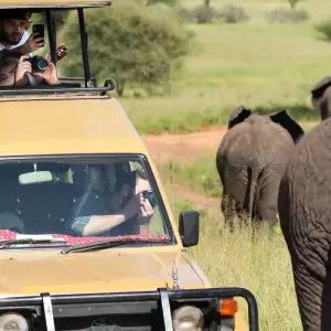 Explore 2 days Serengeti safari from Mwanza with reasonable price for 2 days with Africa Natural Tours and discover unforgettable experiences - Photo 7