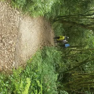 Explore Shira  Route - Hike Kilimanjaro in 1-day for 1 days with Africa Natural Tours and discover unforgettable experiences - Photo 5