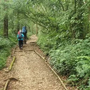 Explore Shira  Route - Hike Kilimanjaro in 1-day for 1 days with Africa Natural Tours and discover unforgettable experiences - Photo 9