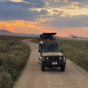 Explore 5-Days Fly-in from Zanzibar private Luxury safari Serengeti, Ngorongoro & Tarangire for 5 days with African Polecat Safaris and discover unforgettable experiences - Photo 3