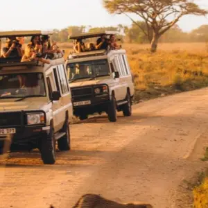 Explore 5-Days Fly-in from Zanzibar private Luxury safari Serengeti, Ngorongoro & Tarangire for 5 days with African Polecat Safaris and discover unforgettable experiences - Photo 4