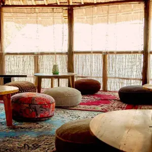 Explore 5-Days Fly-in from Zanzibar private Luxury safari Serengeti, Ngorongoro & Tarangire for 5 days with African Polecat Safaris and discover unforgettable experiences - Photo 6