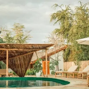 Explore 4-Days Private Midrange Safari from and to Zanzibar for 4 days with African Polecat Safaris and discover unforgettable experiences - Photo 2