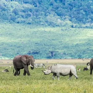 Explore 5-Days Fly-in from Zanzibar private Luxury safari Serengeti, Ngorongoro & Tarangire for 5 days with African Polecat Safaris and discover unforgettable experiences - Photo 7