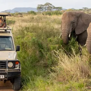 Explore 5-Days Fly-in from Zanzibar private Luxury safari Serengeti, Ngorongoro & Tarangire for 5 days with African Polecat Safaris and discover unforgettable experiences - Photo 8