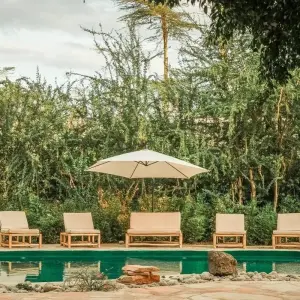 Explore 4-Days Private Midrange Safari from and to Zanzibar for 4 days with African Polecat Safaris and discover unforgettable experiences - Photo 4